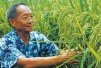袁隆平，非洲农民的科技引领者与心灵导师