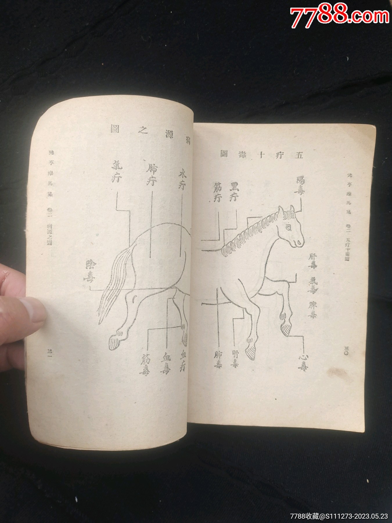 森久 第91页