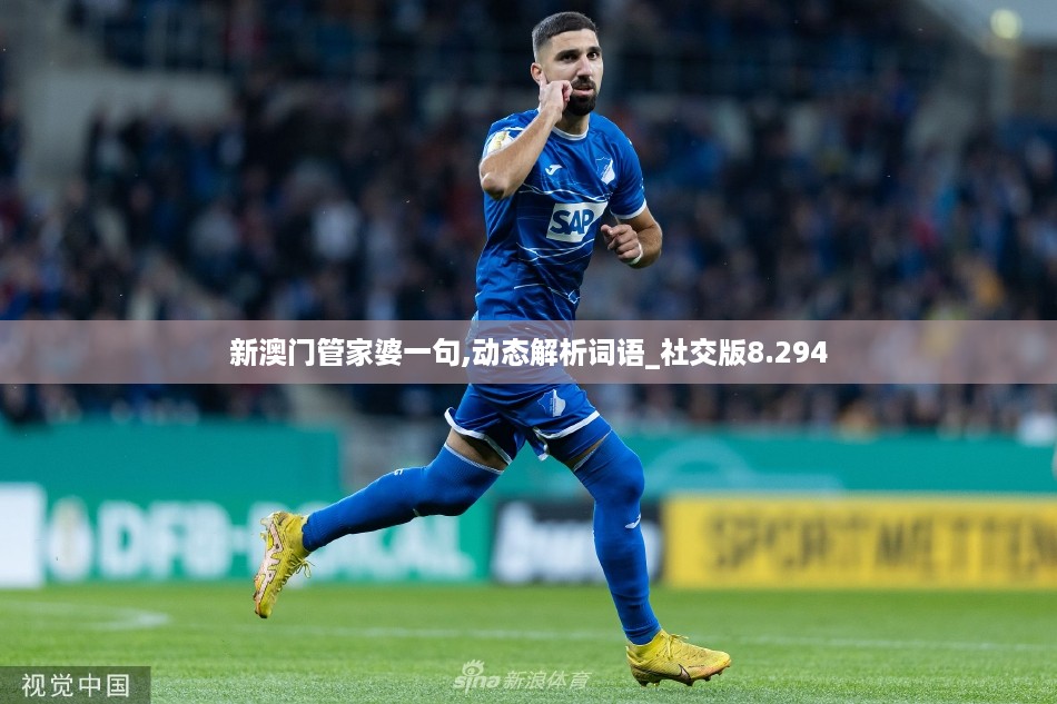 10使用28 第34页