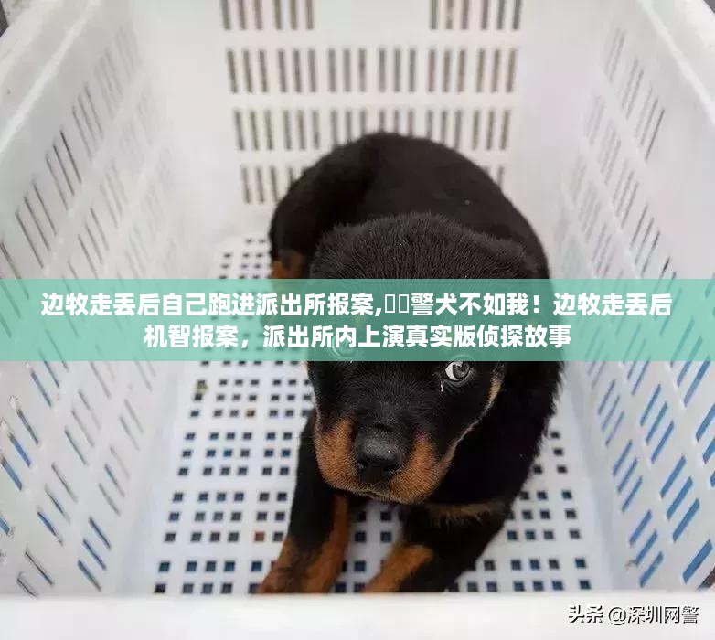 花开无言 第48页