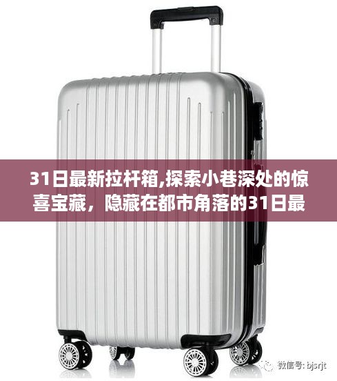 花开无言 第43页