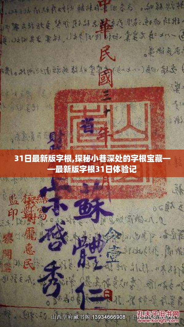 探秘最新版字根31日体验记，小巷深处的宝藏揭秘