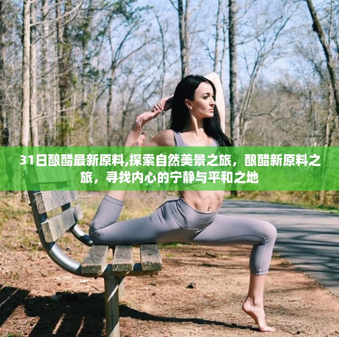 自然美景探索 第2页