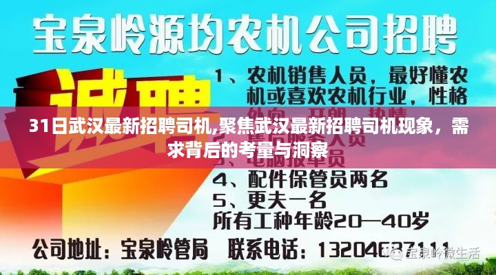 聚焦武汉最新招聘司机现象，需求背后的考量与洞察之道