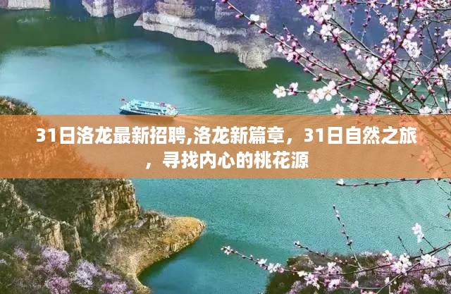 初告白 第41页