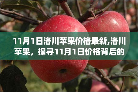 初遇在故事开头 第37页