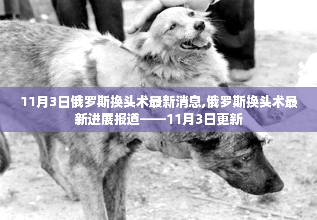 沉默的海 第26页