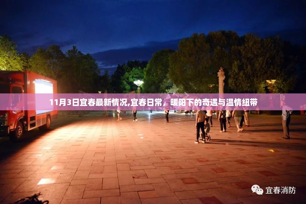 花开无言 第27页