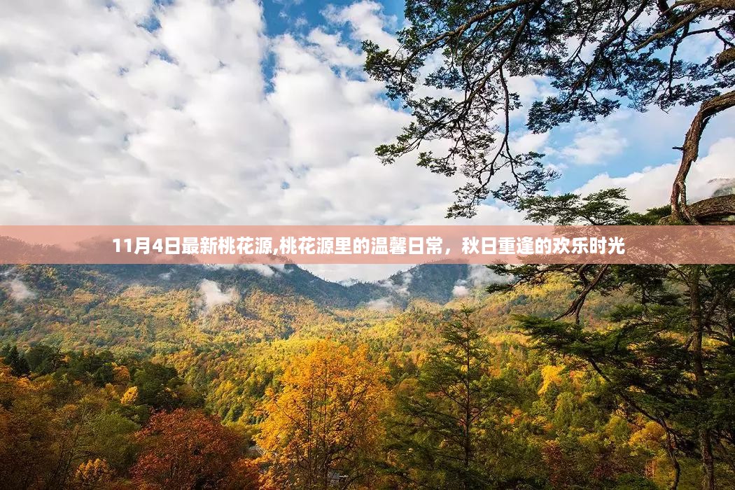 花开无言 第25页