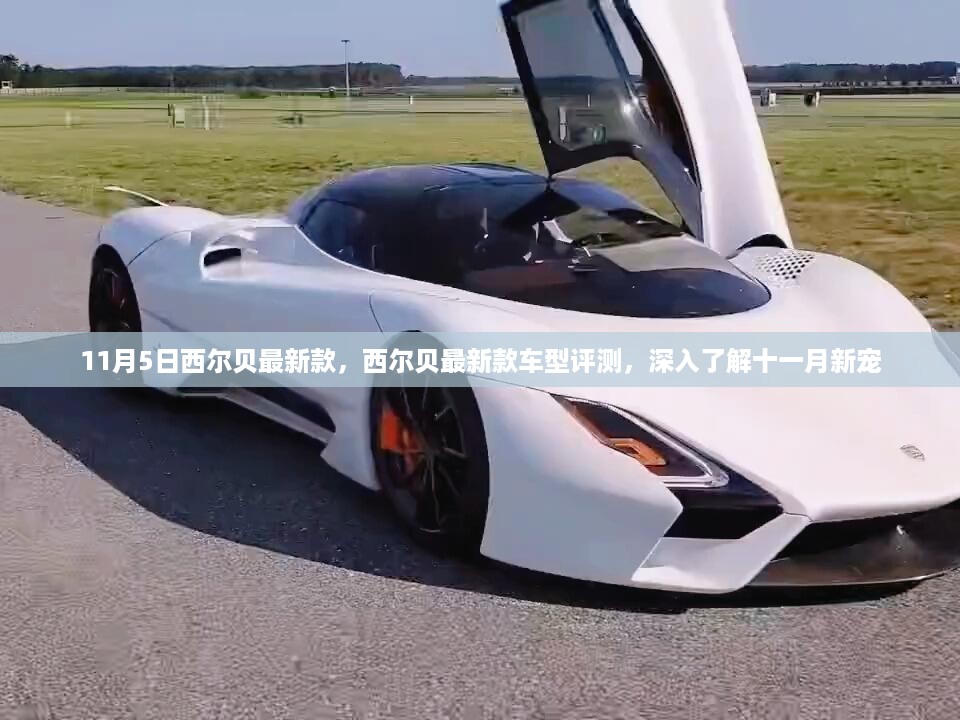 沉默的风 第23页