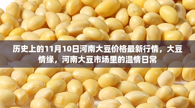 河南大豆市场，温情日常与情缘，最新行情揭秘（日期，历史上的11月10日）