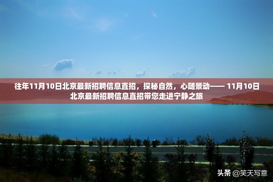 张牙舞爪 第14页