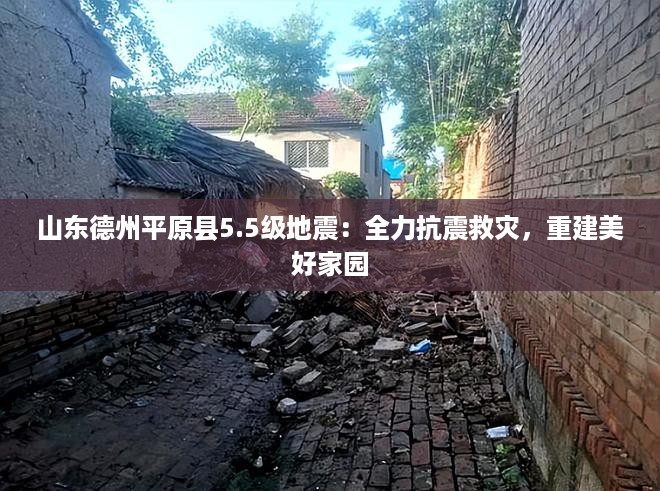 yangchangniaodao 第14页