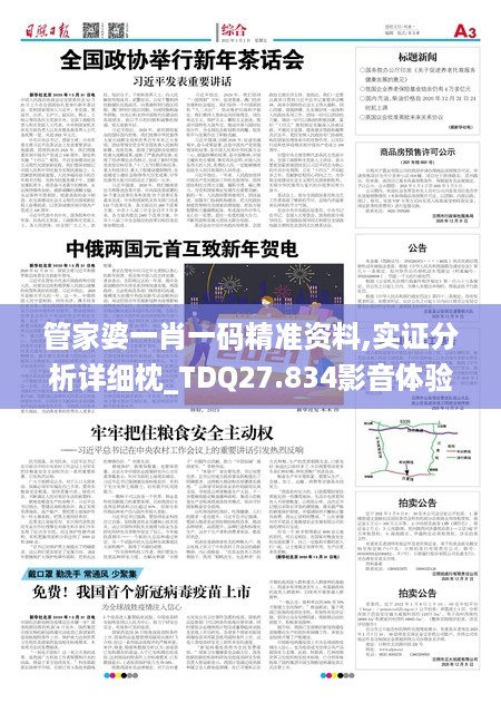 10新动28 第13页