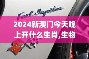 jinxinjinli 第13页