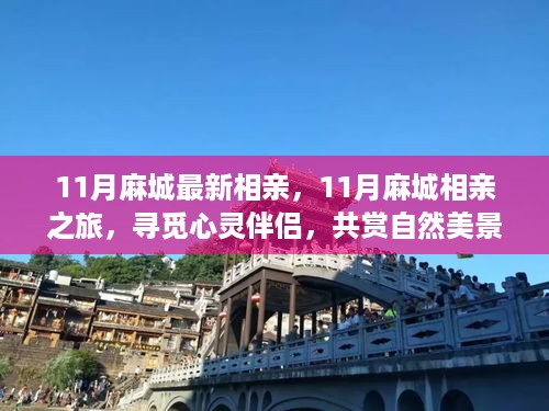 quzhikeshu 第10页