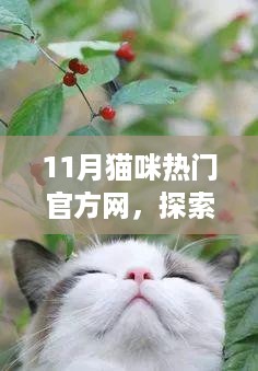 shenglisibie 第10页