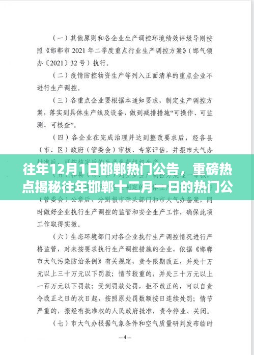 回顾与解析，邯郸往年十二月一日热门公告揭秘
