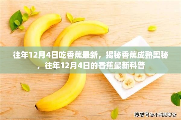 风驰电掣 第7页