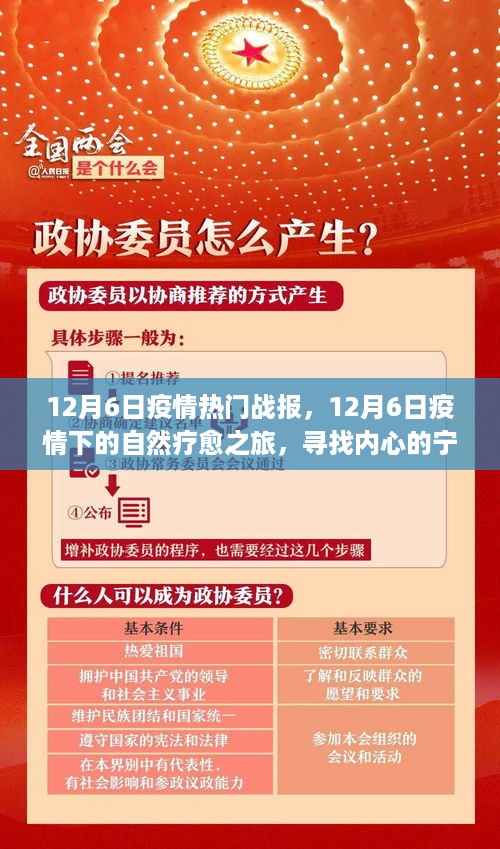 nifengfeiyang 第7页