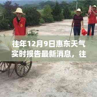 往年12月9日惠东天气实时报告与多维度解读