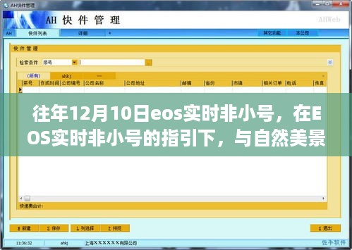 jingxianzhiniao 第8页