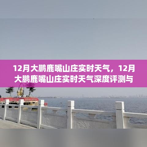 chunyuguiruyou 第6页
