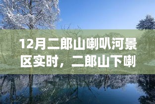 quzhikeshu 第5页