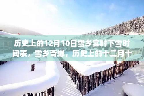 xinshidandan 第6页