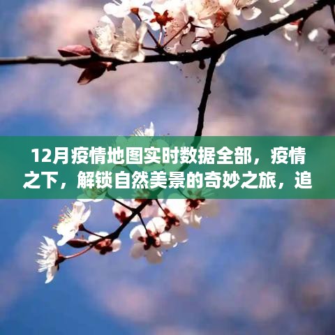 yangchangniaodao 第6页