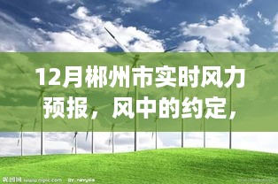 xinshidandan 第5页