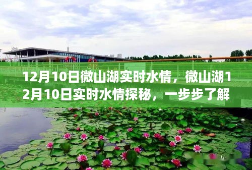 xizhaiwangqi 第4页
