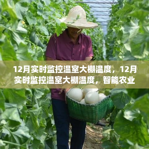 tangerhuangzhi 第5页