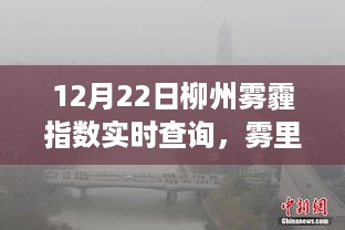 shenglisibie 第5页