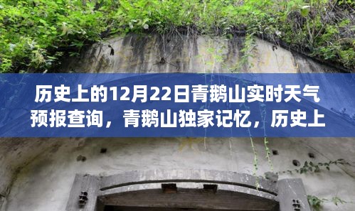 feihuangwuhu 第5页