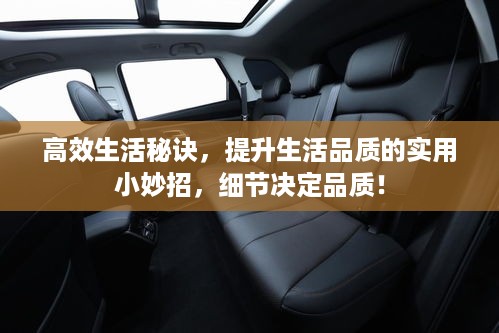贵不可言 第3页