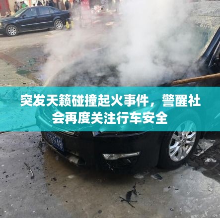 贵出贱收 第3页
