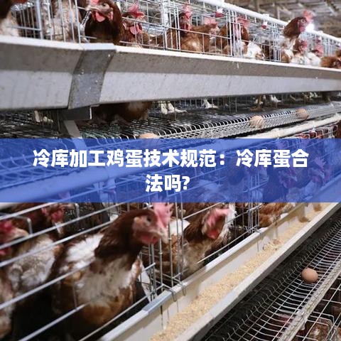 量入为出 第3页