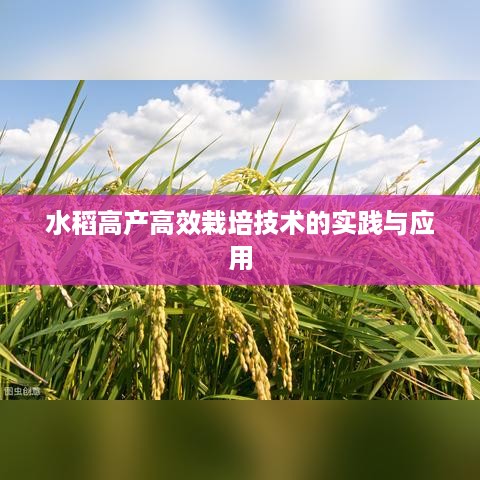饭来张口 第3页