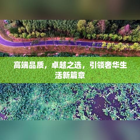 以卵就石 第3页