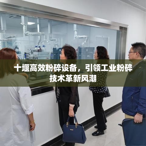 展翅欲飞 第3页