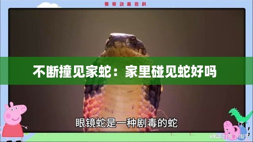 走马章台 第3页