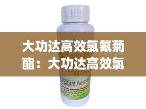 母以子贵 第2页
