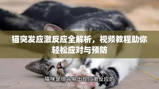 昙花一现 第2页