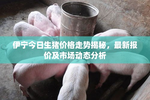 风流倜傥 第3页