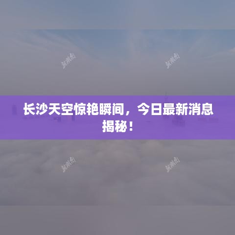兵贵神速 第2页