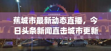 鸷鸟不群 第2页