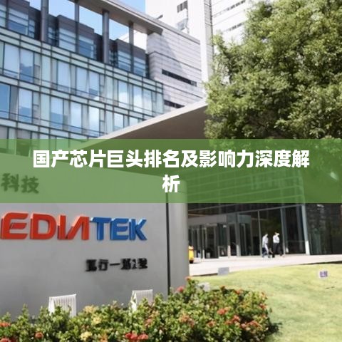 删华就素 第2页