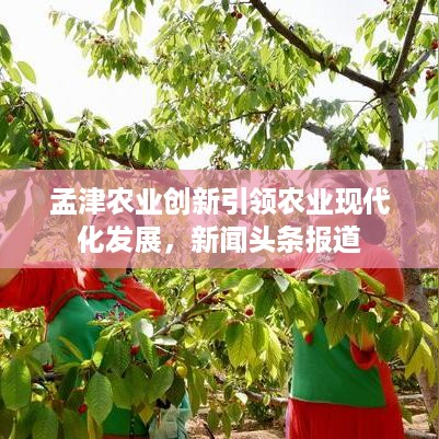 轻徙鸟举 第2页