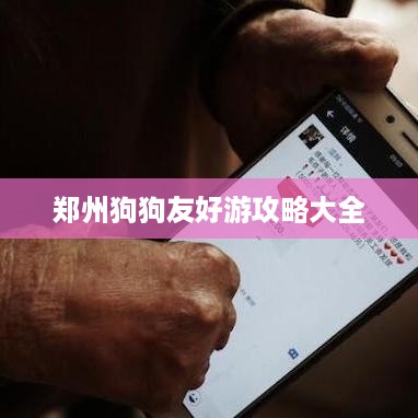 xizhaiwangqi 第2页
